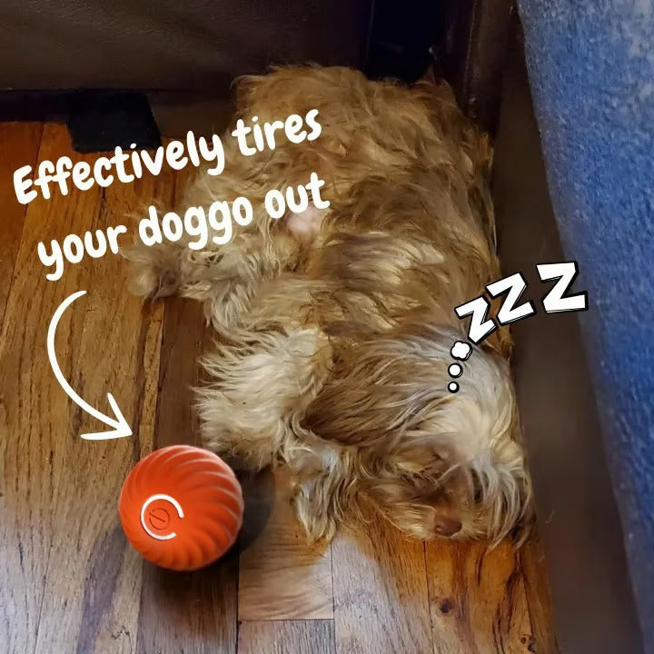 🐶Fun Viral Bouncing Ball