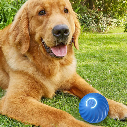 🐶Fun Viral Bouncing Ball